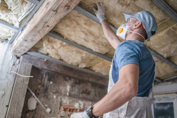 Best Specialty Insulation in University Of Lifornia Davis, CA