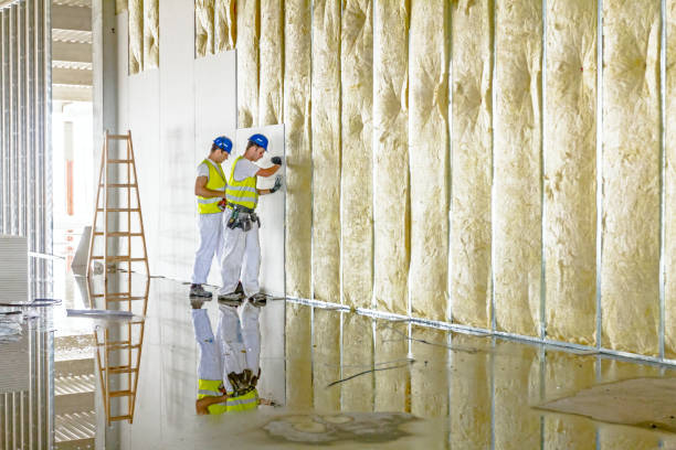 Best Insulation Maintenance and Repair in University Of Lifornia Davis, CA